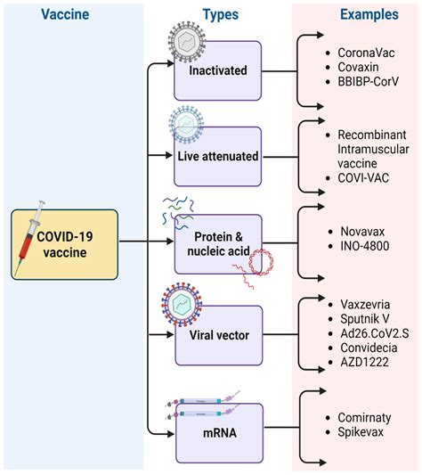 mRNA-Based Vaccine for COVID-19: They Are New but Not Unknown!
