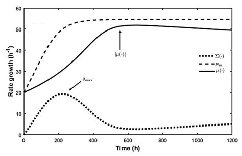 Fractional Sliding Mode Nonlinear Procedure for Robust Control of an ...