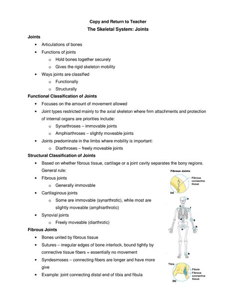 The Skeletal System Joints PPt Notes - Copy and Return to Teacher The ...
