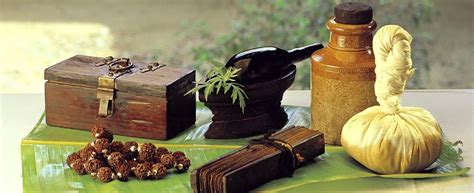 Mountain-View Mud Suite Balcony Room