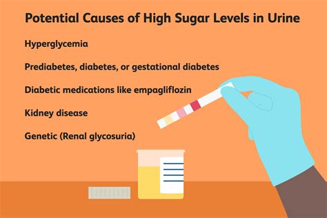 High Levels of Sugar in Urine: Causes and Treatments