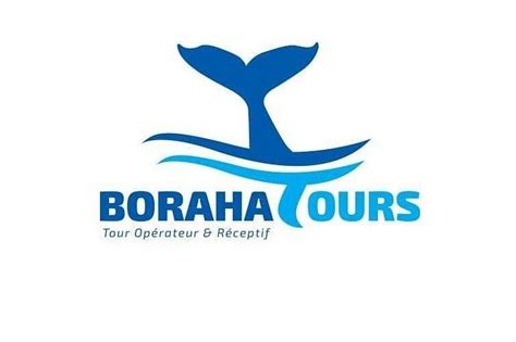 BORAHA TOURS & TRAVEL (2025) All You Need to Know BEFORE You Go (with ...