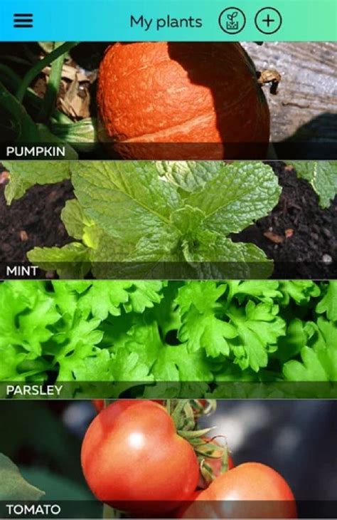Best apps that will help you live a more sustainable lifestyle