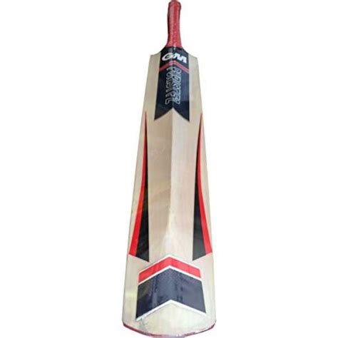 GM Purist F2 Contender Kashmir Willow Cricket Bat Price in India, Specs ...
