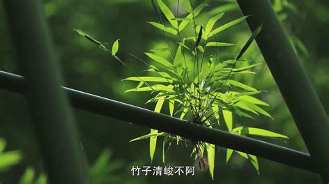 湖南吉首遭遇强对流 如手腕粗的竹子被大风吹断-图片频道