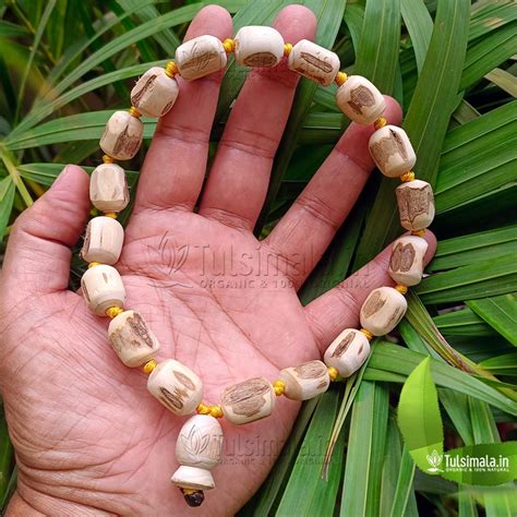 Berkha Japa Mala 18+1 Beads Original Tulsi Mala 16mm Beads - Tulsi Mala