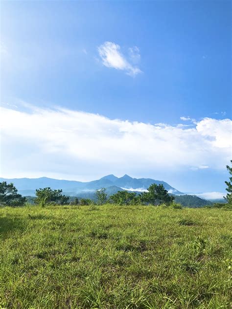 Image result for Python Sky Field