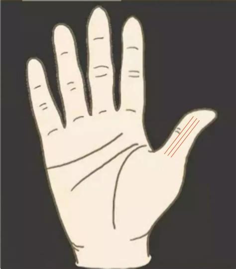 手相课堂：手的肤色与手型介绍|手型|手掌|手指_新浪新闻