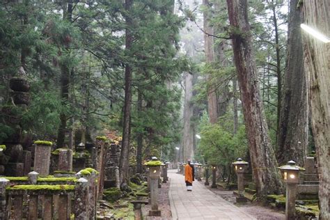 2025 Private Half- Day Tour in Wakayama Koyasan (Koya-cho) - with ...