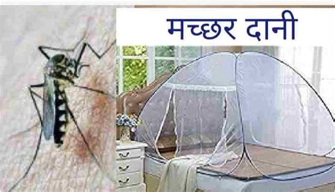 मच्छर दानी : अर्थ, मूल्य, उपयोग और फायदे। machar dani