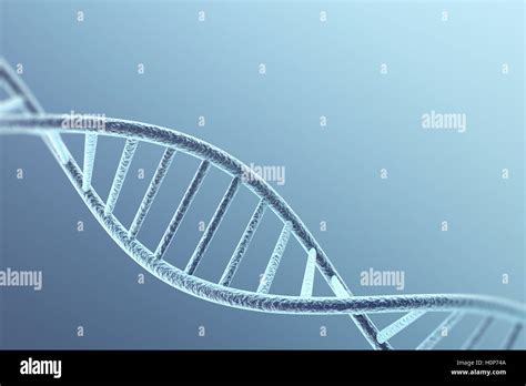 RNA Model 的图像结果