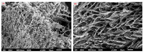 Microwave-Assisted Extraction of Cellulose from Aloe Vera Plant Residue ...