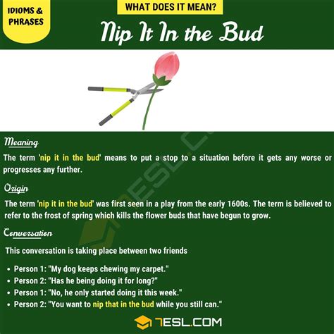 "Nip It in the Bud" Meaning, Origin and Examples • 7ESL