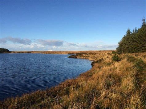 THE KINTYRE WAY (2026) All You Need to Know BEFORE You Go (with Photos ...