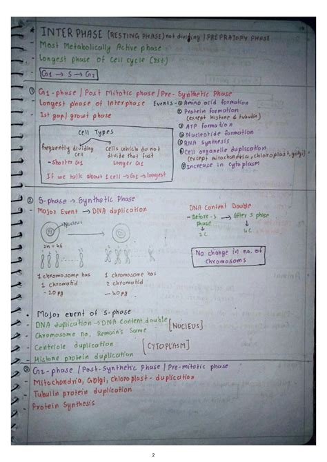 Cell Cycle and Division Notes 的图像结果
