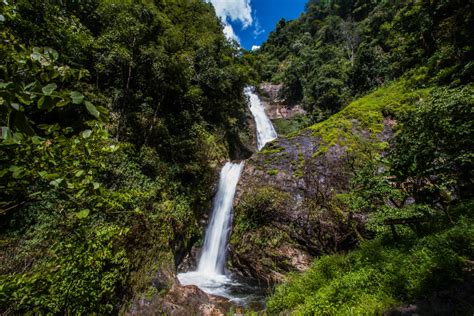 Image result for Decatur Public Library Decatur IL