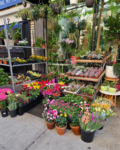 HYBRID FLORIST | Yorkville, Upper East Side (@hybridflorist ...