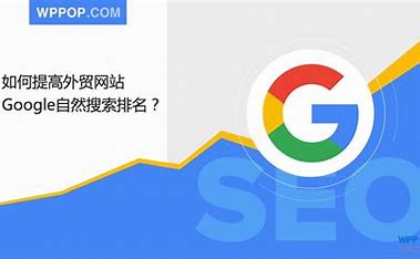 谷歌seo 上海 的图像结果