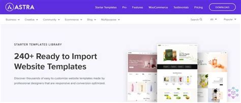 astra fast lightweight customizable wordpress themes download now