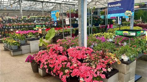 Image result for Lowe's Flower Garden