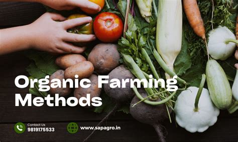 Power of Organic Farming: Methods, Objectives, & Importance