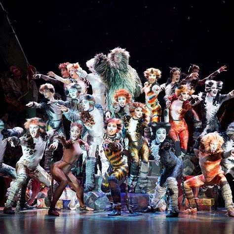 Cats: De musical exitoso a la gran pantalla | by Israel Fernandez | La ...
