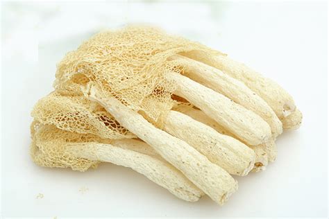 Bamboo Fungus 55gg Sulfur-free Fresh Dried Bamboo Fungus Selected from ...