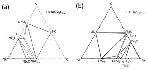 High-Temperature Interdiffusion of Tantalum and Niobium with SiC for ...