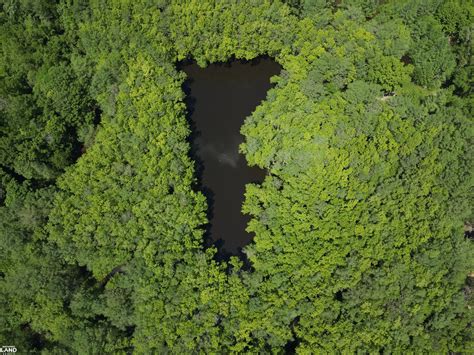 The Pearl 327 in Marion County, Mississippi (17 Photos) | National Land ...