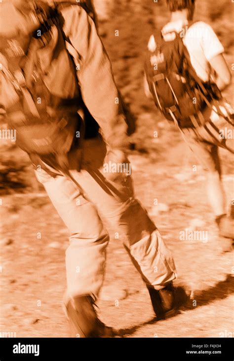 Image result for Two Tree Hiking