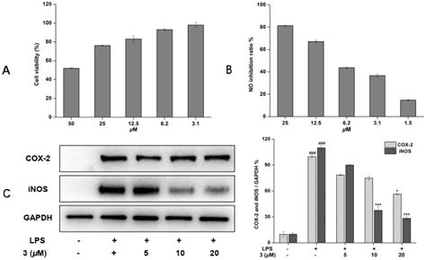 Structures and Anti-Inflammatory Evaluation of Phenylpropanoid ...