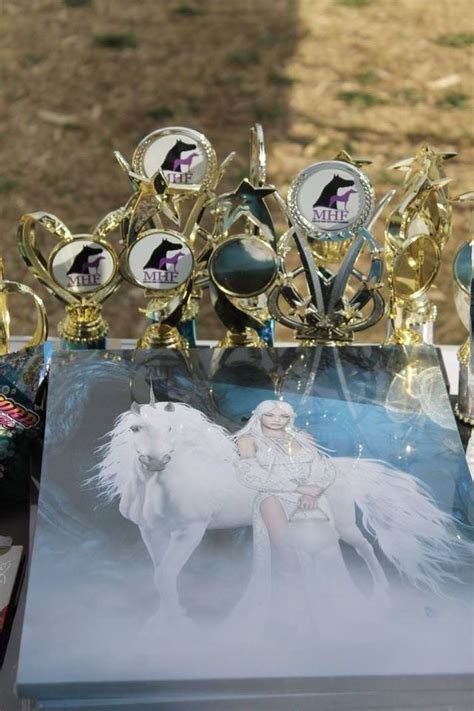 MHFs Were Back Show, Merriwa Showground, Cessnock, 9 March to 10 March ...