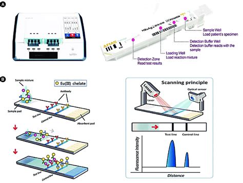Rapid Lateral Flow Immunoassay For The Fluorescence, 59% OFF