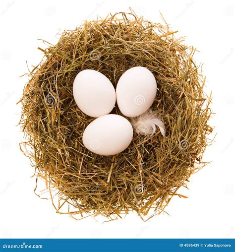 Eggs In A Nest Royalty Free Stock Images - Image: 4596439
