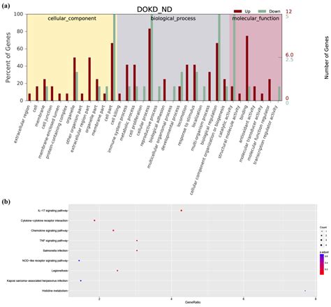 Donkey Oil-Based Ketogenic Diet Prevents Tumor Progression by ...