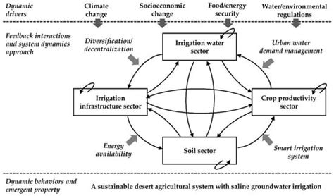 Systems Thinking for Planning Sustainable Desert Agriculture Systems ...