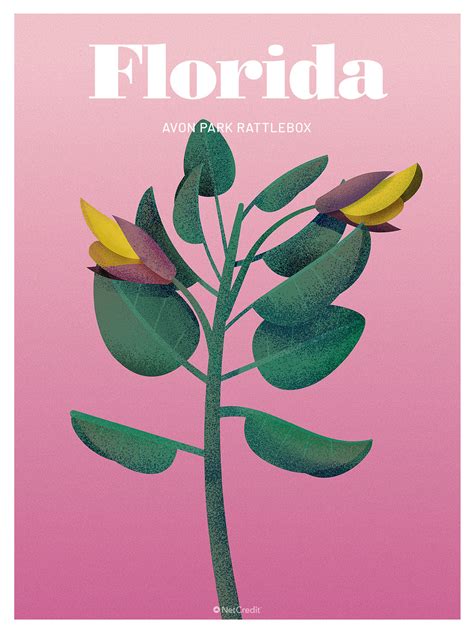 An Illustrated Tribute to the Most Endangered Plant in Every U.S. State - NetCredit Blog