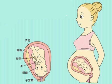 孕32周产检，胎儿却有37周！暗自窃喜的孕妈，慎防这个妊娠并发症 - 知乎