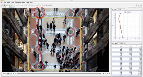Image Analysis by Tracker Software 的图像结果