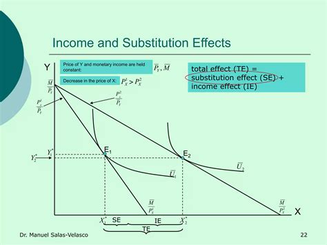 Microeconomics: Income and Substitution Effects | PDF