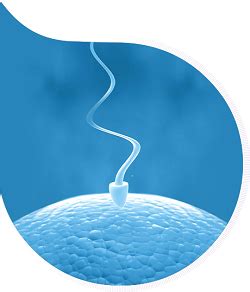 Oocyte Donor Treatment center in India & Near Me | BirthRight by ...