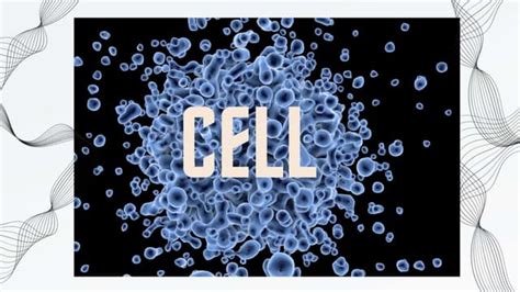 Image result for Cell Basic