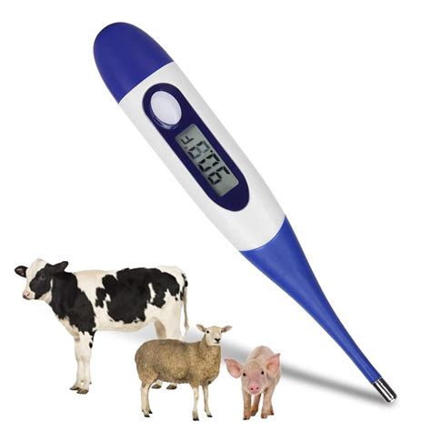 Professional Livestock Thermometer - Portable Veterinary Temperature ...
