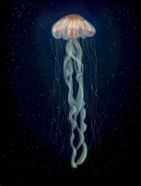 Deep Sea Jellyfish » drawings » SketchPort