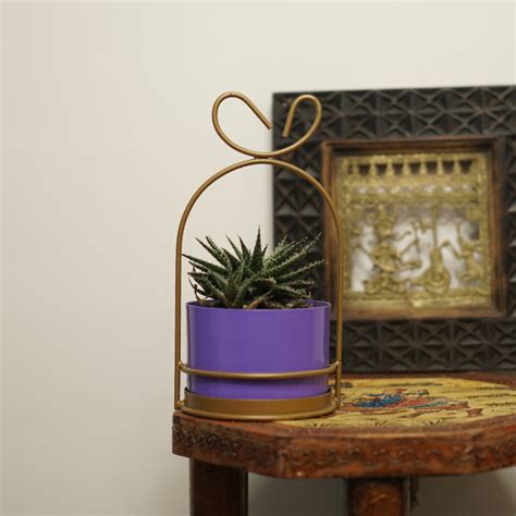 Ocean HangGlow Planter - Purple Pot with Golden Hanging Stand ...