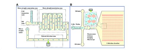 Image result for Single Cell Barcoding