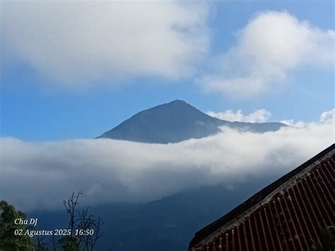 The Best Last Minute Hotels in Viqueque 2025 - Tripadvisor