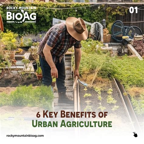 6 key benefits of urban agriculture – Artofit