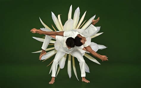 Ballet in Bloom: An Evening at Desert Botanical Garden | Desert ...