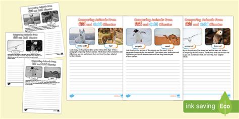 Comparing Animals from Hot and Cold Climates Worksheet